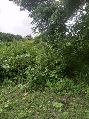  Plot – Garden View at Tusyana - for Sale