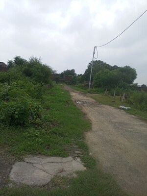 Plot Area in  Plot at Tusyana – for Sale