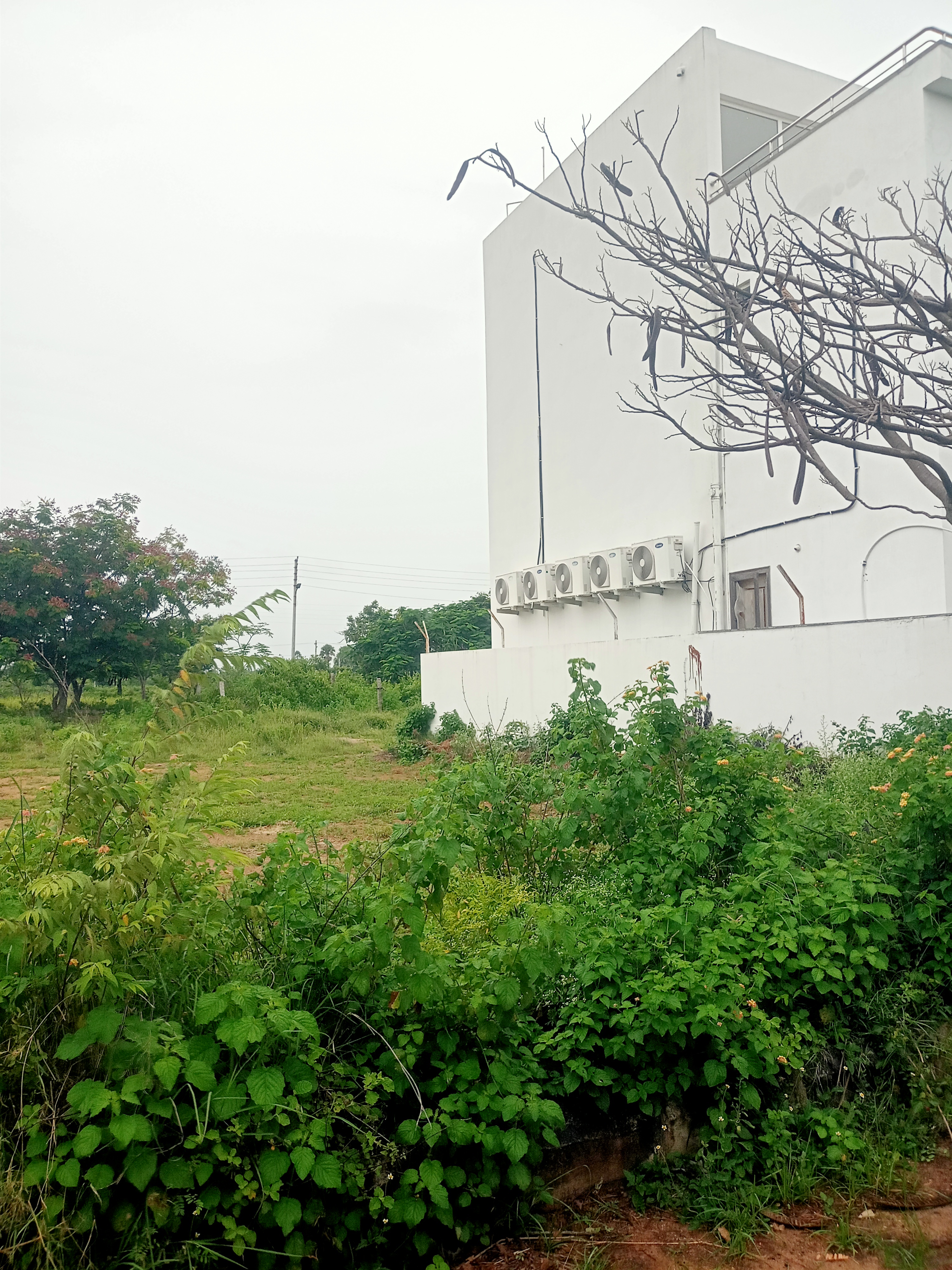 Plot For Sale in AVC Little England