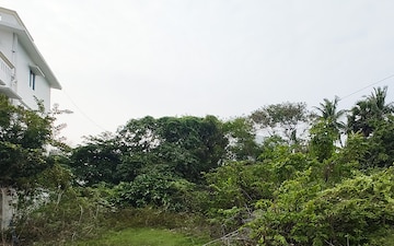 Plot For Sale in Vettuvankani