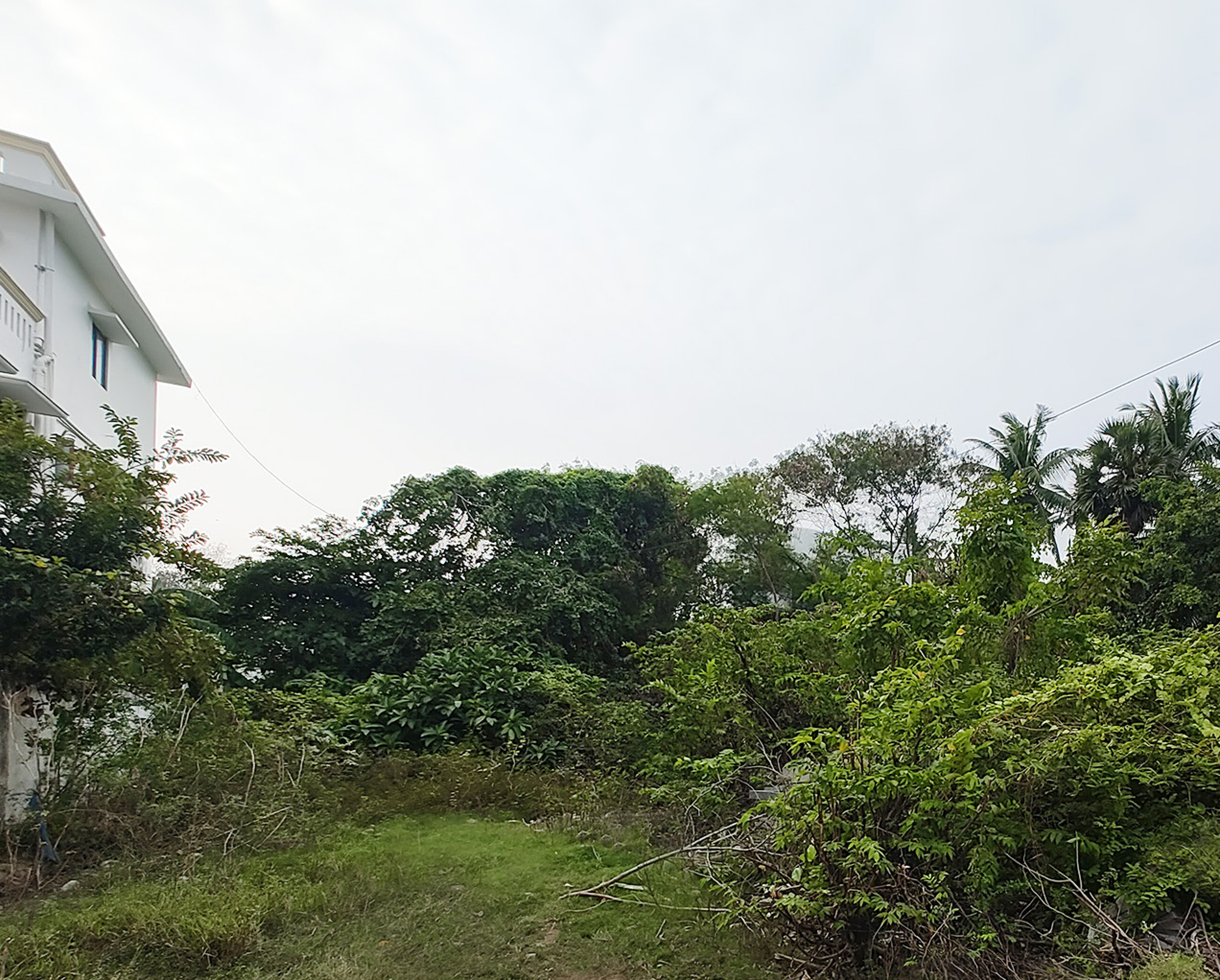 Plot For Sale in Vettuvankani