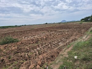  Land For Sale in Amaravathi Road