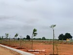 213 Sq.Yd. Plot in ESR South Central