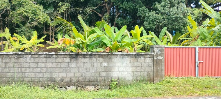 Garden, viyyur  2613 Sq.Ft. Plot In Viyyur Thrissur 9108915