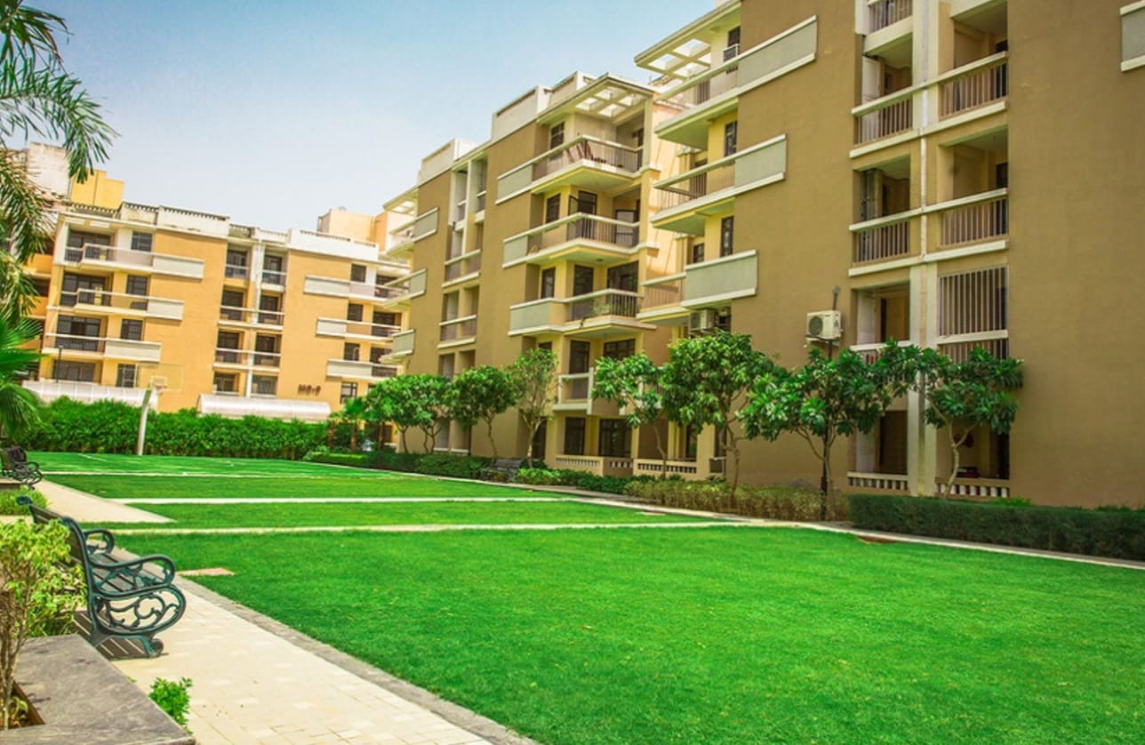 1 BHK 450 Sq.Ft. Apartment in Eldeco Mystic Greens