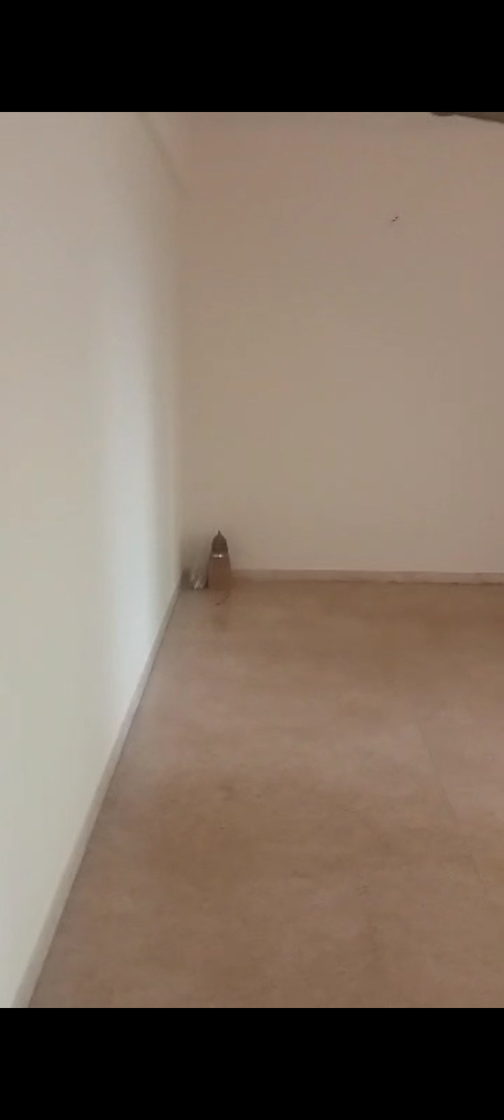 2 BHK Apartment For Rent in Hiranandani Meadows