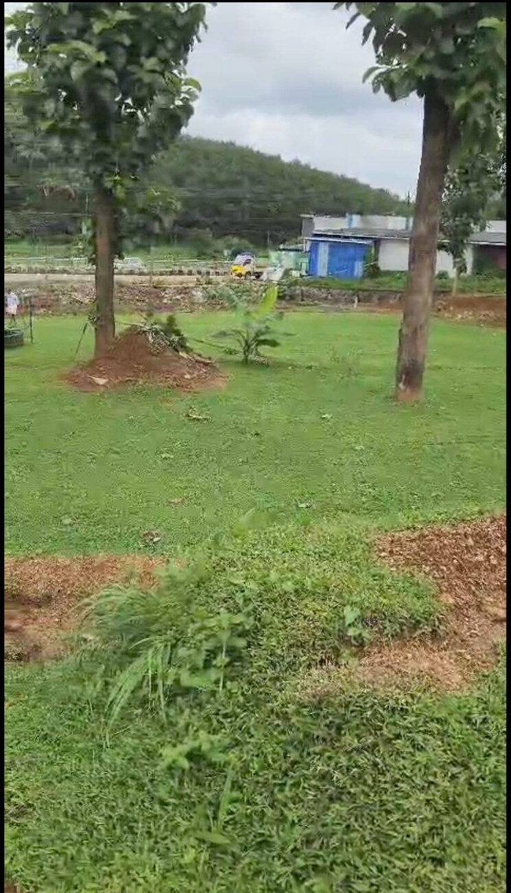 Garden, thrissur road Commercial Land 26136 Sq.Ft. In Thrissur Road Thrissur 9109000