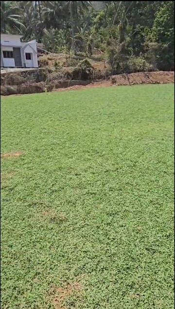Plot Area in  Land at Thrissur Road – for Sale
