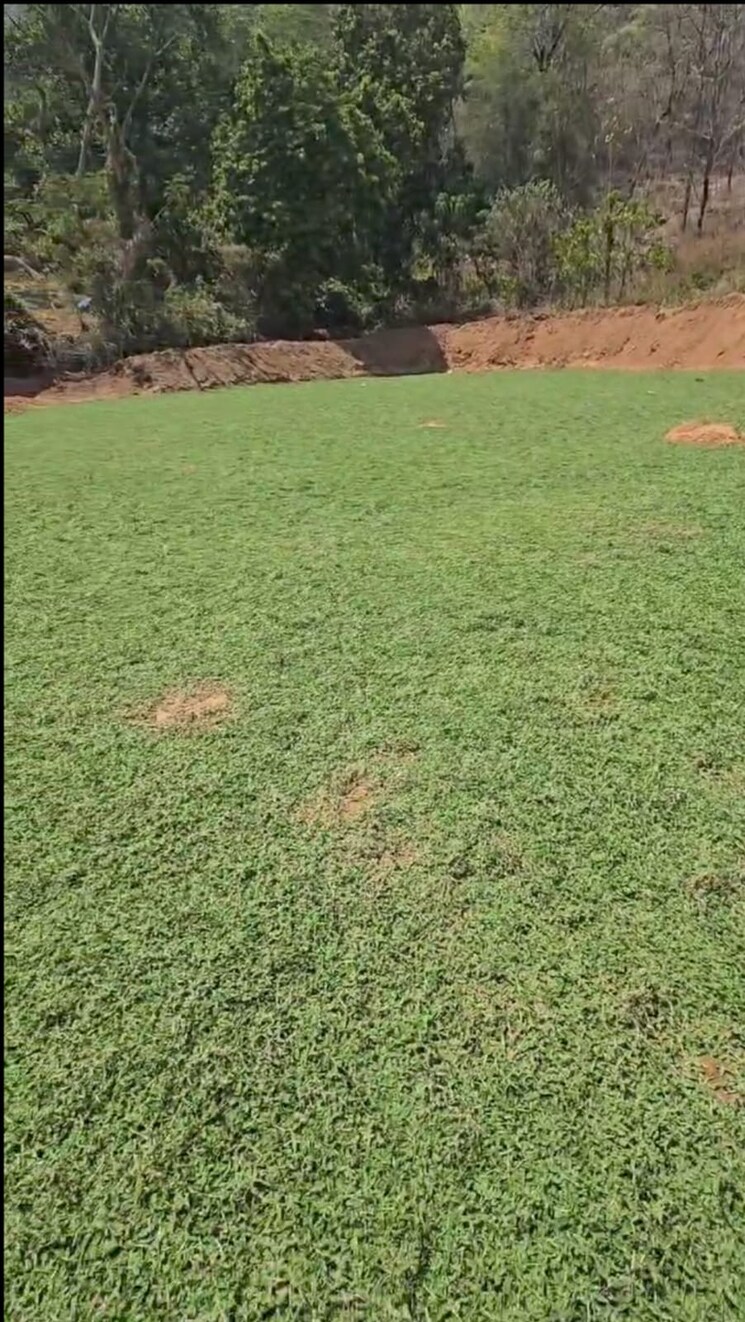 Garden, thrissur road Commercial Land 26136 Sq.Ft. In Thrissur Road Thrissur 9109000