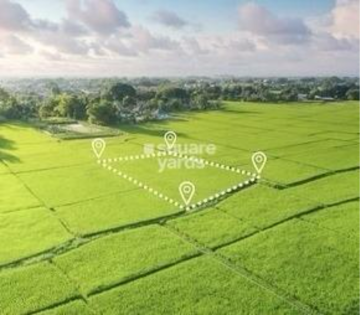 Plot Area in  Plot at Mauli 22, Pipla – for Sale