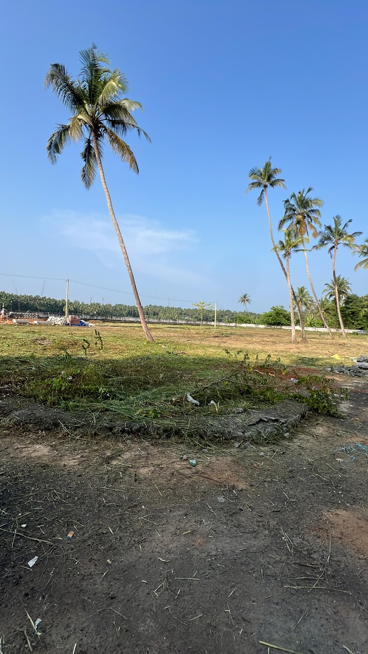 undefined, mundoor  2287 Sq.Ft. Plot In Mundoor Thrissur 9109119