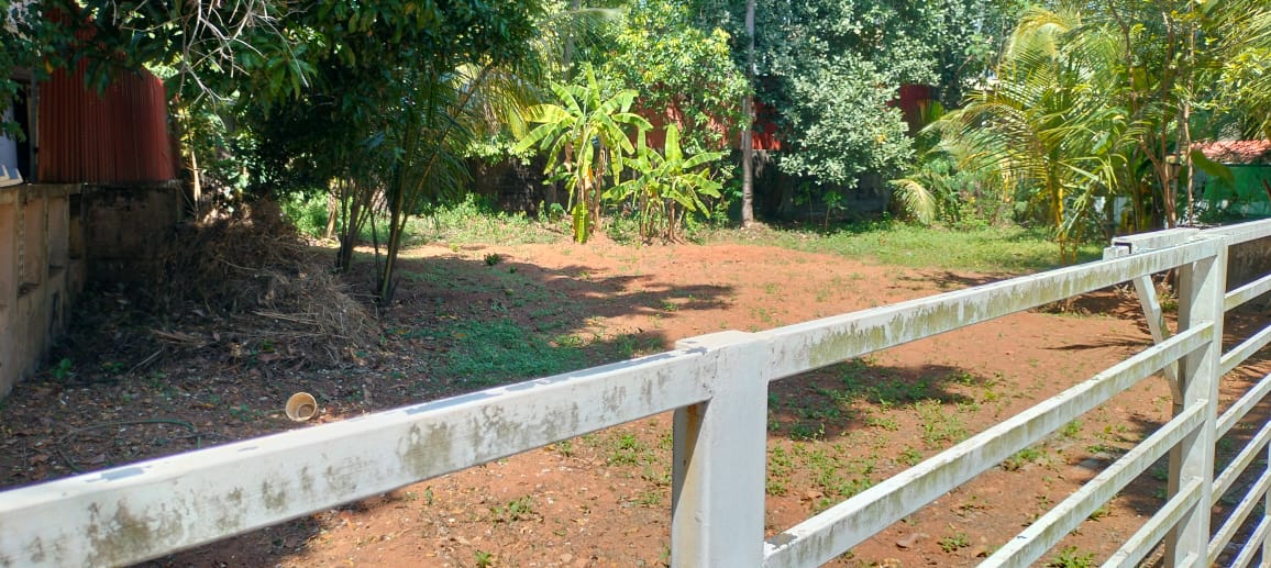 Plot For Sale in Punkunnam