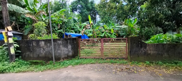 Garden, kolazhy  3702 Sq.Ft. Plot In Kolazhy Thrissur 9109209