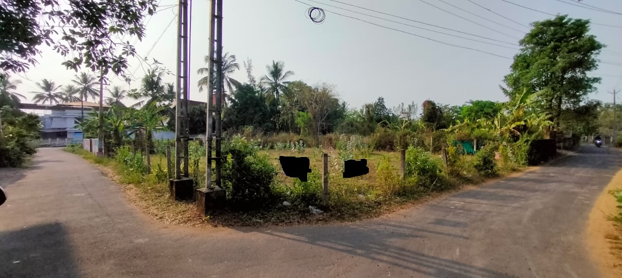 Plot For Sale in Chembukkavu