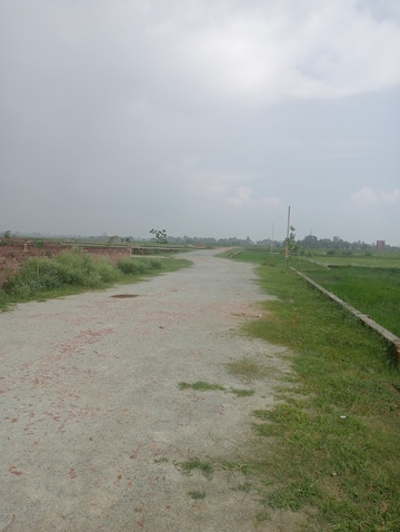 Plot Area in  Plot at Ramnagar – for Sale