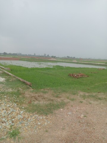 Plot Area in  Plot at Ramnagar – for Sale