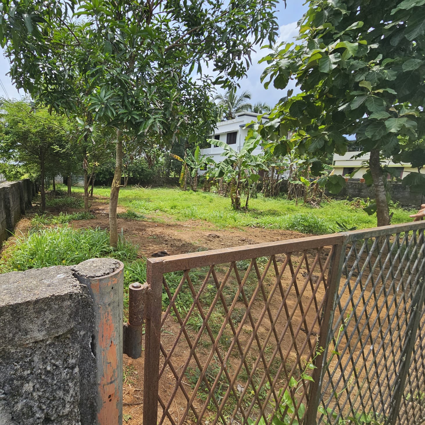 Plot For Sale in Chelakottukara