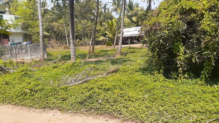 undefined, chelakottukara  4683 Sq.Ft. Plot In Chelakottukara Thrissur 9109289