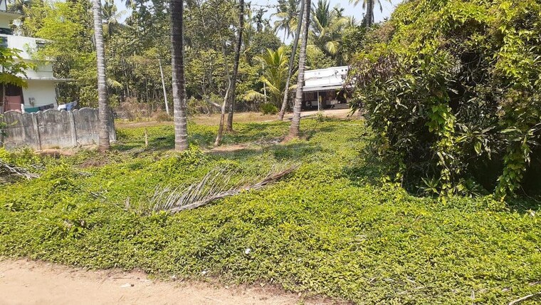 undefined, chelakottukara  4683 Sq.Ft. Plot In Chelakottukara Thrissur 9109289
