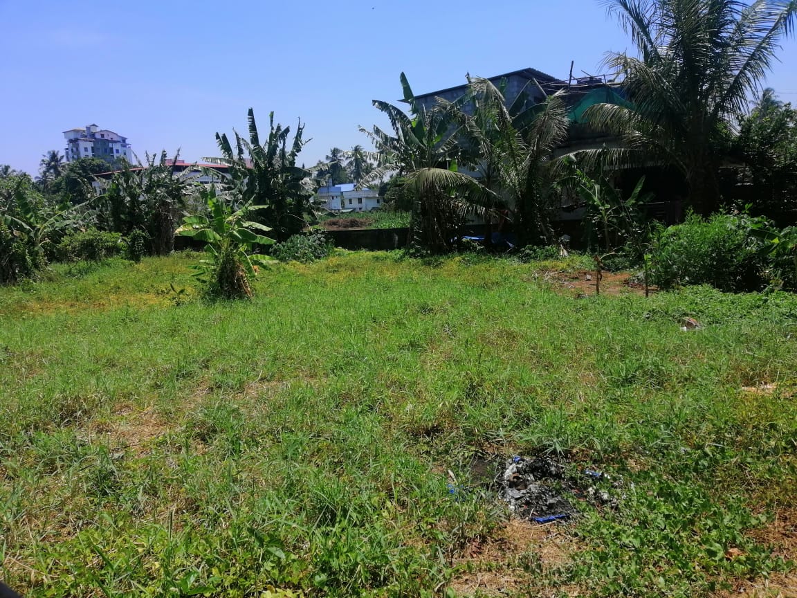 Plot For Sale in Paravattani