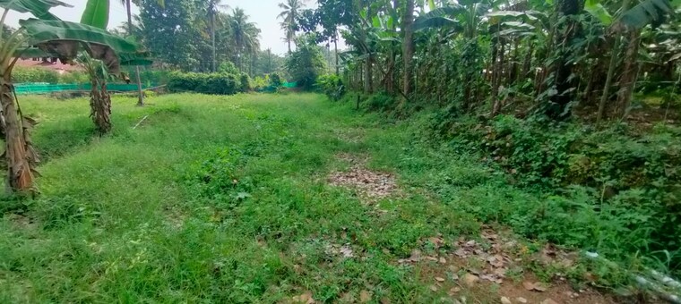 undefined, paravattani  4573 Sq.Ft. Plot In Paravattani Thrissur 9109310