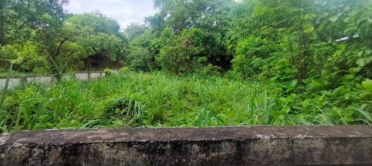 undefined, paravattani  4573 Sq.Ft. Plot In Paravattani Thrissur 9109310