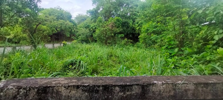 undefined, paravattani  4573 Sq.Ft. Plot In Paravattani Thrissur 9109310