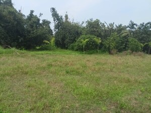  Plot – Garden View at Kalikapur Rajpur Sonarpur - for Sale