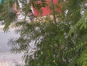 4 BHK Apartment – Garden View at Vasant Kunj - for Sale