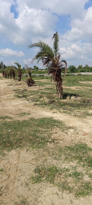 Plot Area in  Plot at Sultanpur Road – for Sale