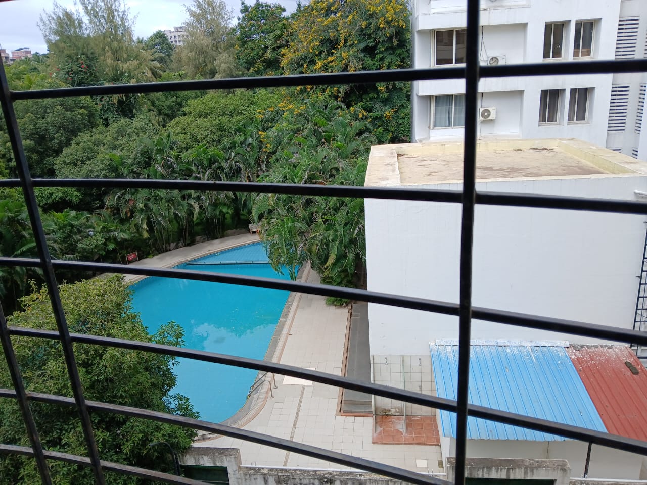 1 BHK + Pooja Room Apartment For Rent in Shri Raj Society