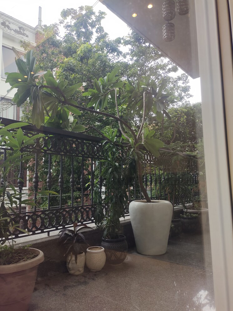 Balcony, greater kailash i 3 Bedroom 2000 Sq.Ft. Builder Floor In Greater Kailash I Delhi 9109981