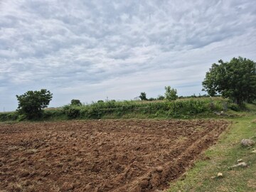  Land For Sale in Amaravathi