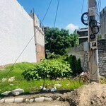 100 Sq.Yd. Plot in Dealer