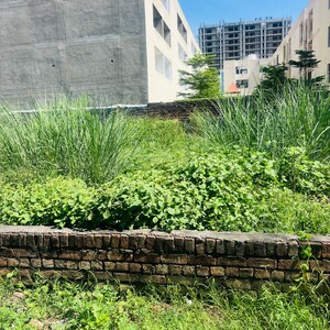 Plot Area in  Plot at Aerocity – for Sale