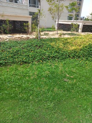 Plot Area in 2 BHK Apartment at Gaur Yamuna City 16th Park View, Gaur Yamuna City – for Sale
