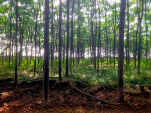 Plot Area in  Plot at Shankarpalli – for Sale