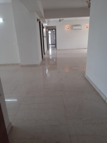 2 BHK Apartment For Rent in Amrapali Sapphire, Sector 45