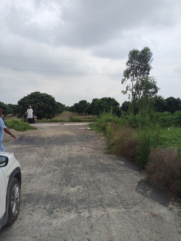 Plot Area in  Plot at Pilikothi – for Sale