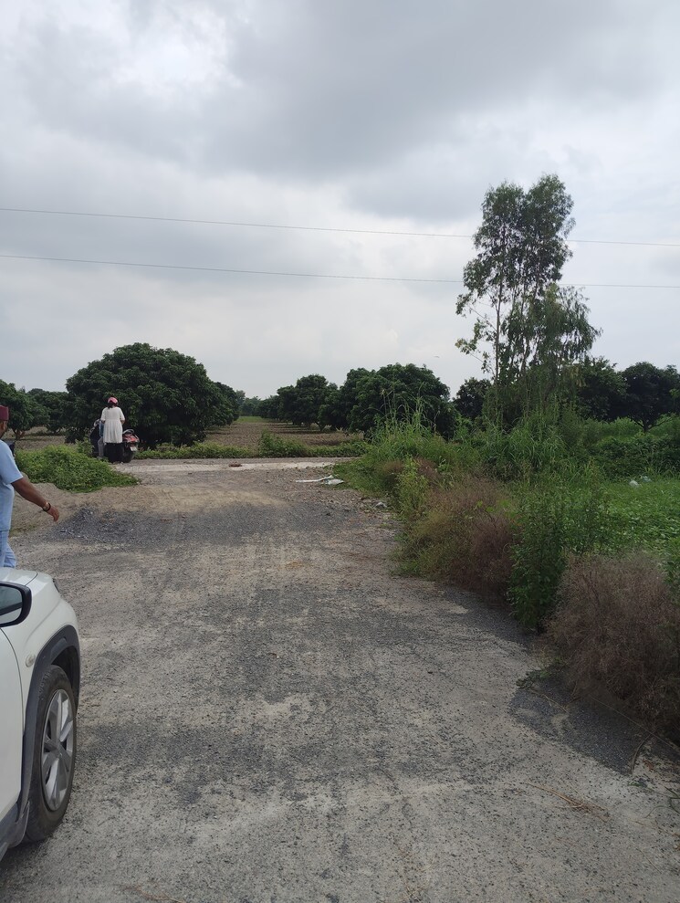 undefined, pilikothi  1500 Sq.Ft. Plot In Pilikothi Haldwani 9109360