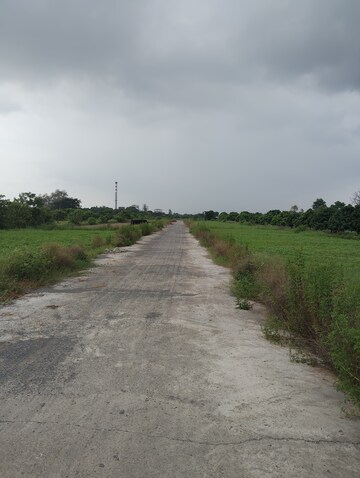  Plot For Sale in Pilikothi