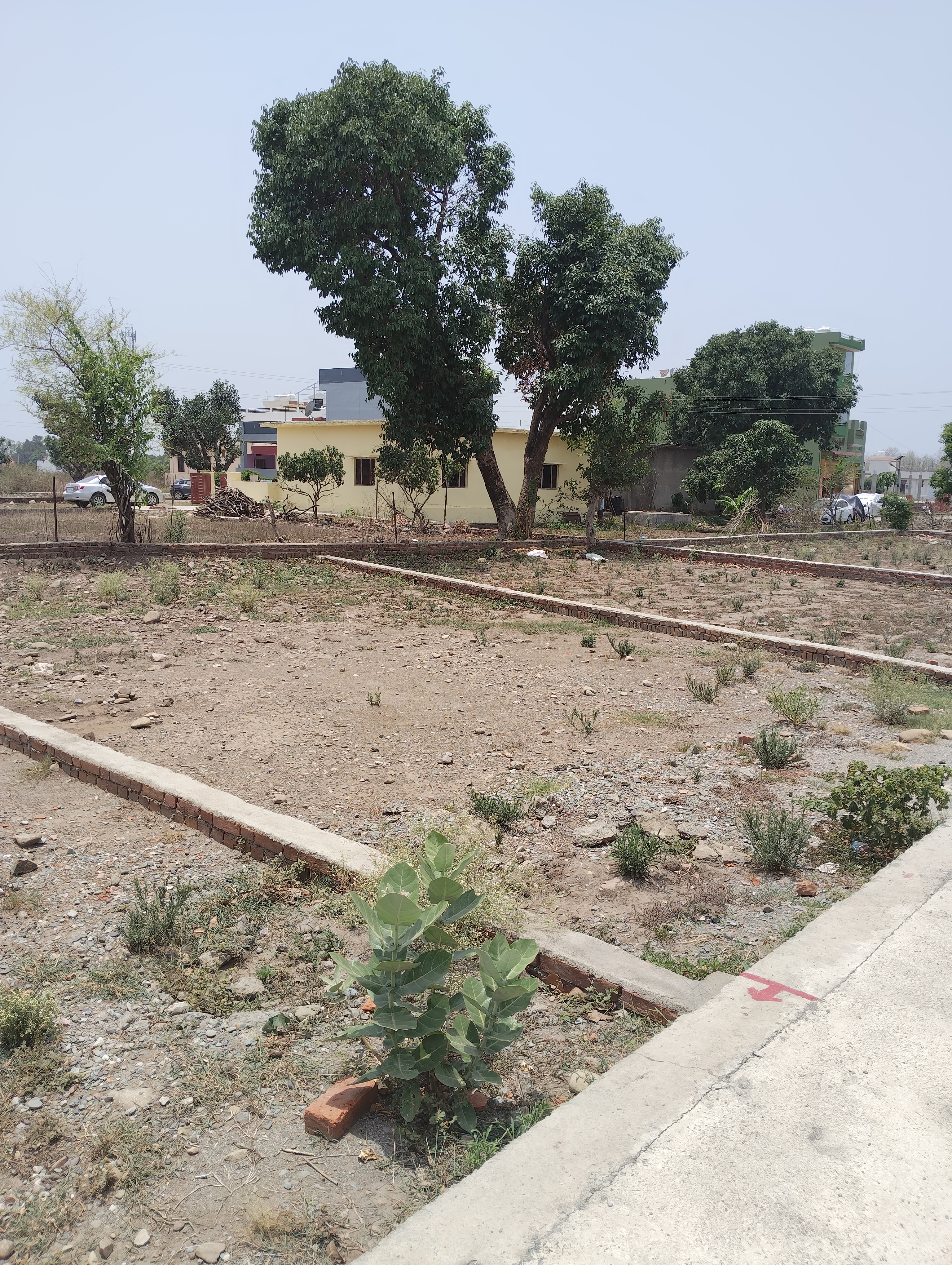 Plot For Sale in Kusumkhera