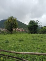 2700 Sq.Ft. Plot in Bhimtal