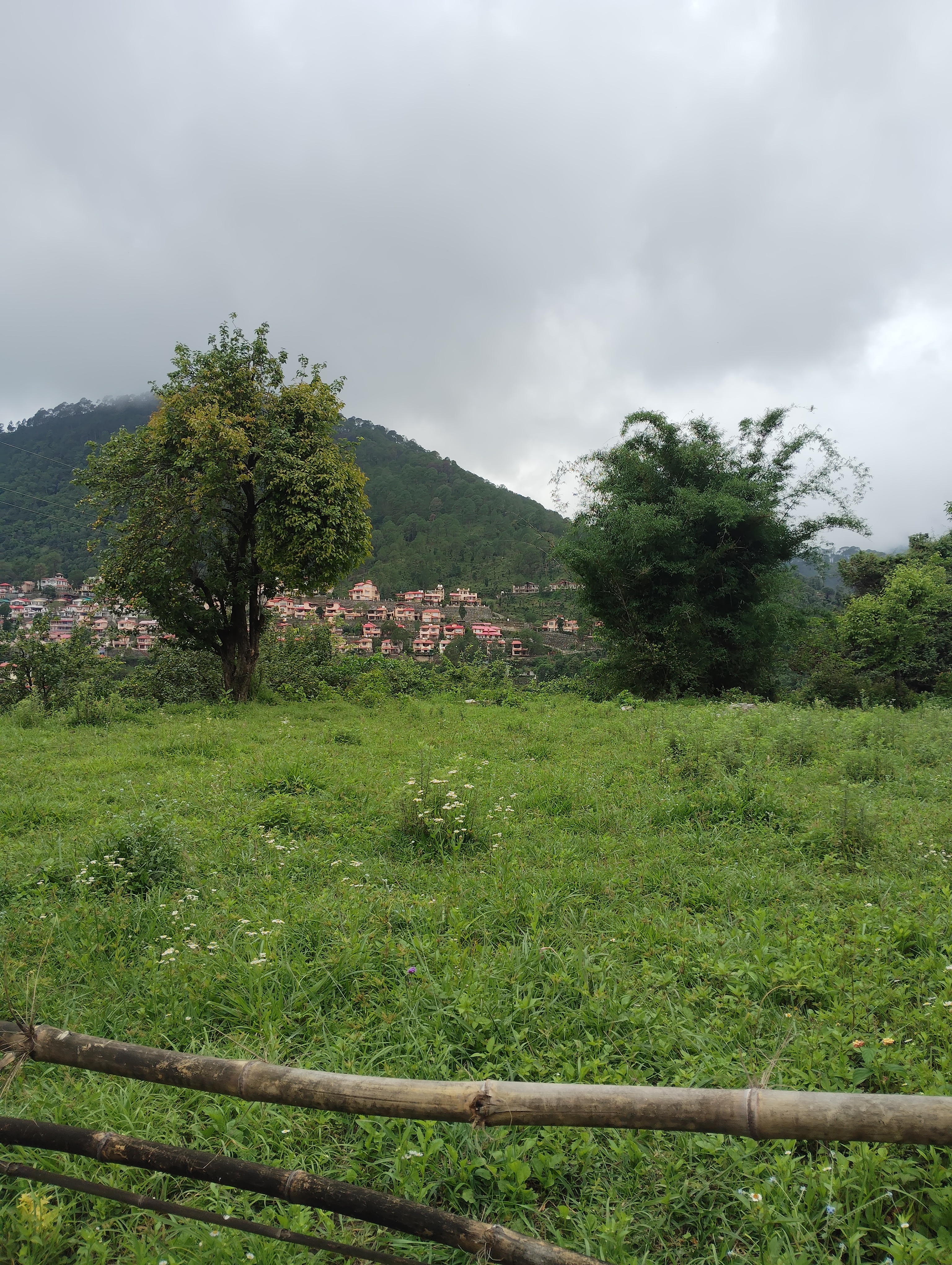 Plot For Sale in Bhimtal