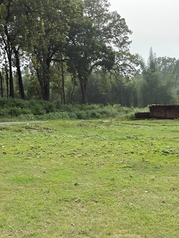  Plot For Sale in Sherpur