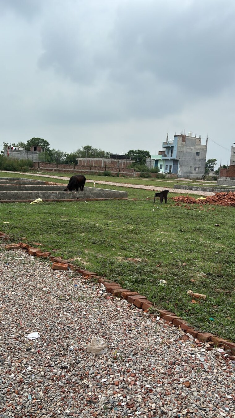 Garden, sector 123  150 Sq.Yd. Plot In Sector 123 Noida 9110899