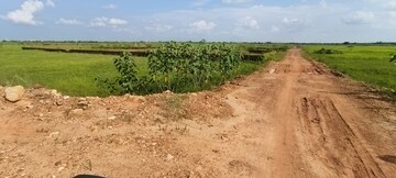 Plot Area in  Plot at Patrapada – for Sale