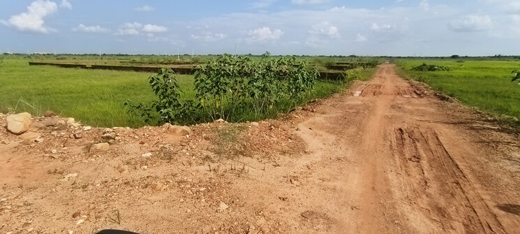 undefined, patrapada  1611 Sq.Yd. Plot In Patrapada Bhubaneswar 9110904