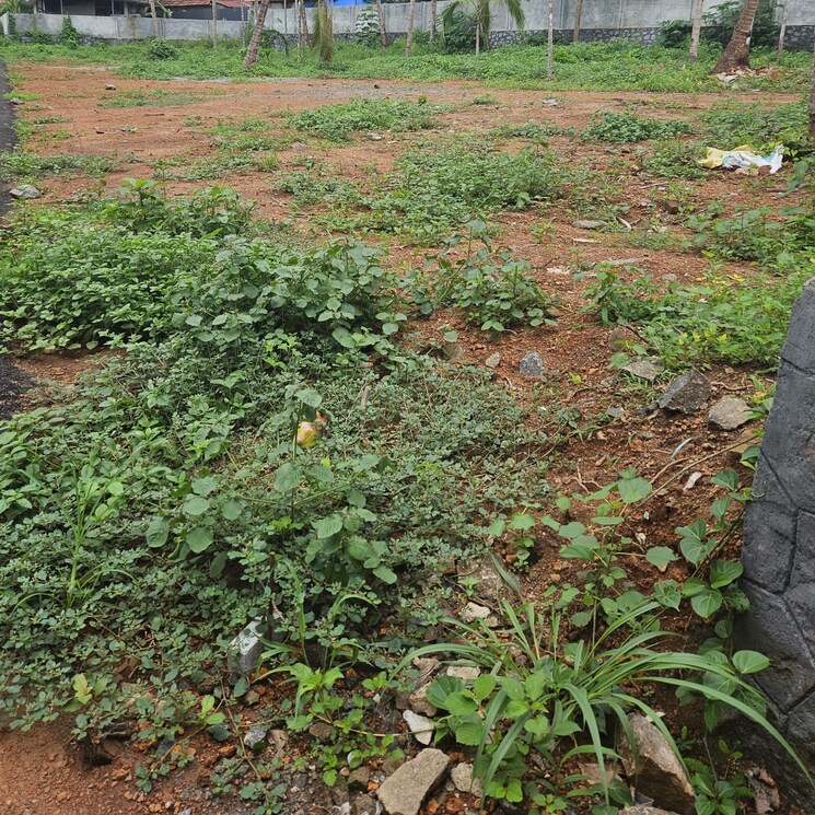 undefined, kuriachira  8276 Sq.Ft. Plot In Kuriachira Thrissur 9110952