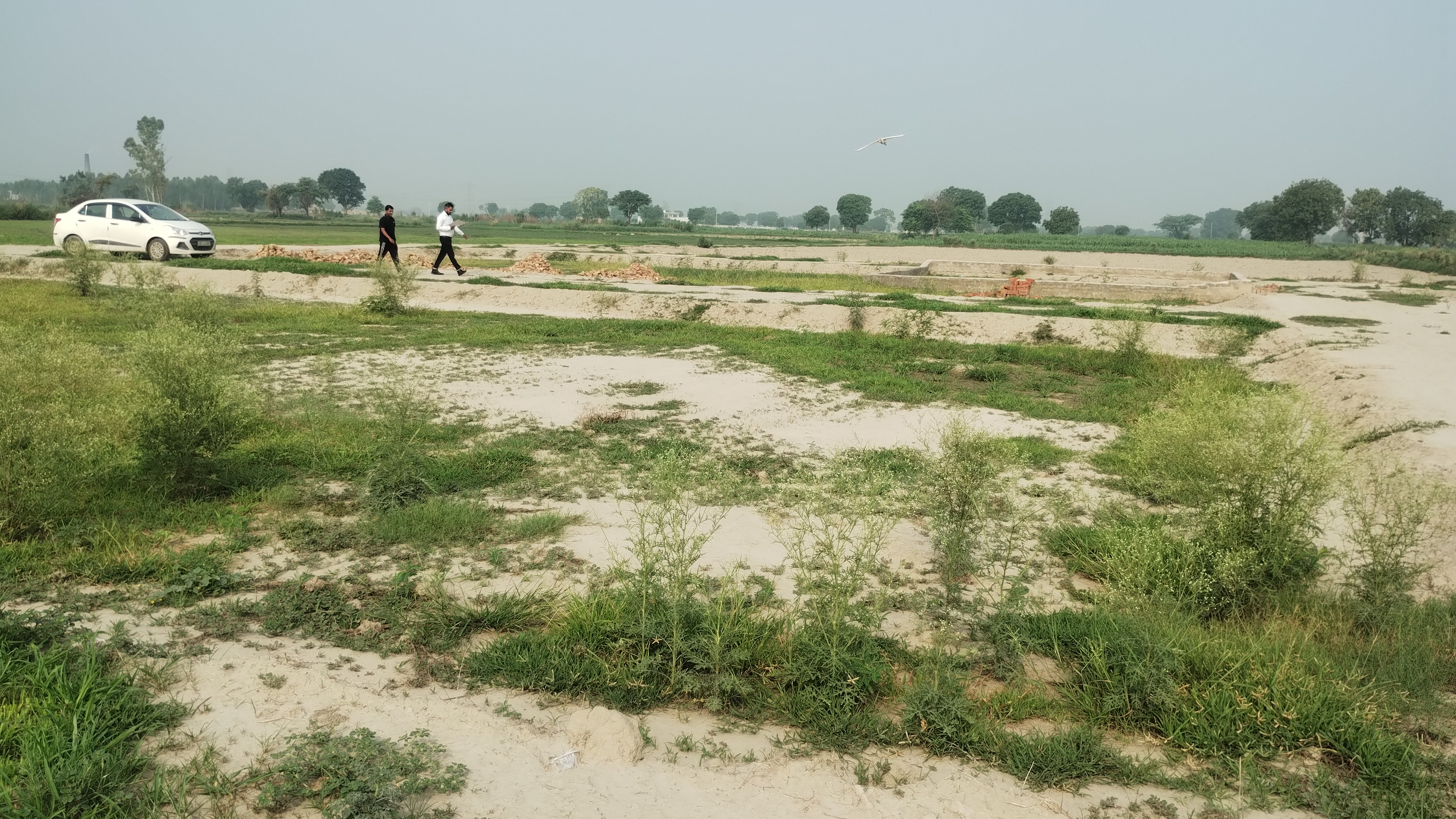 Plot For Sale in Sharma Property 